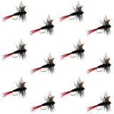 Red-Tailed Black Gnat Classic Dry Fly - 12 Flies Size 18