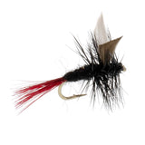 3 Pack Red-Tailed Black Gnat Classic Dry Fly - Size 18