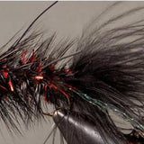 BH Woolly Bugger
