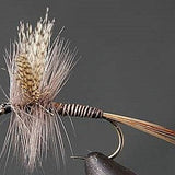 Red Quill