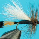 Rio Grande King Trude