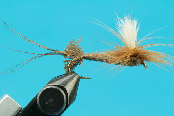 Roberts Drake  - Mayfly Dry Fly