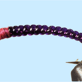Rock Worm / Annelid - Red or Purple
