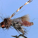 Rocky Mtn. Caddis - 5 Colors
