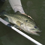 HANE™  10ft10in (330cm)