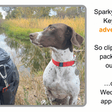Sparky & Scratch Key