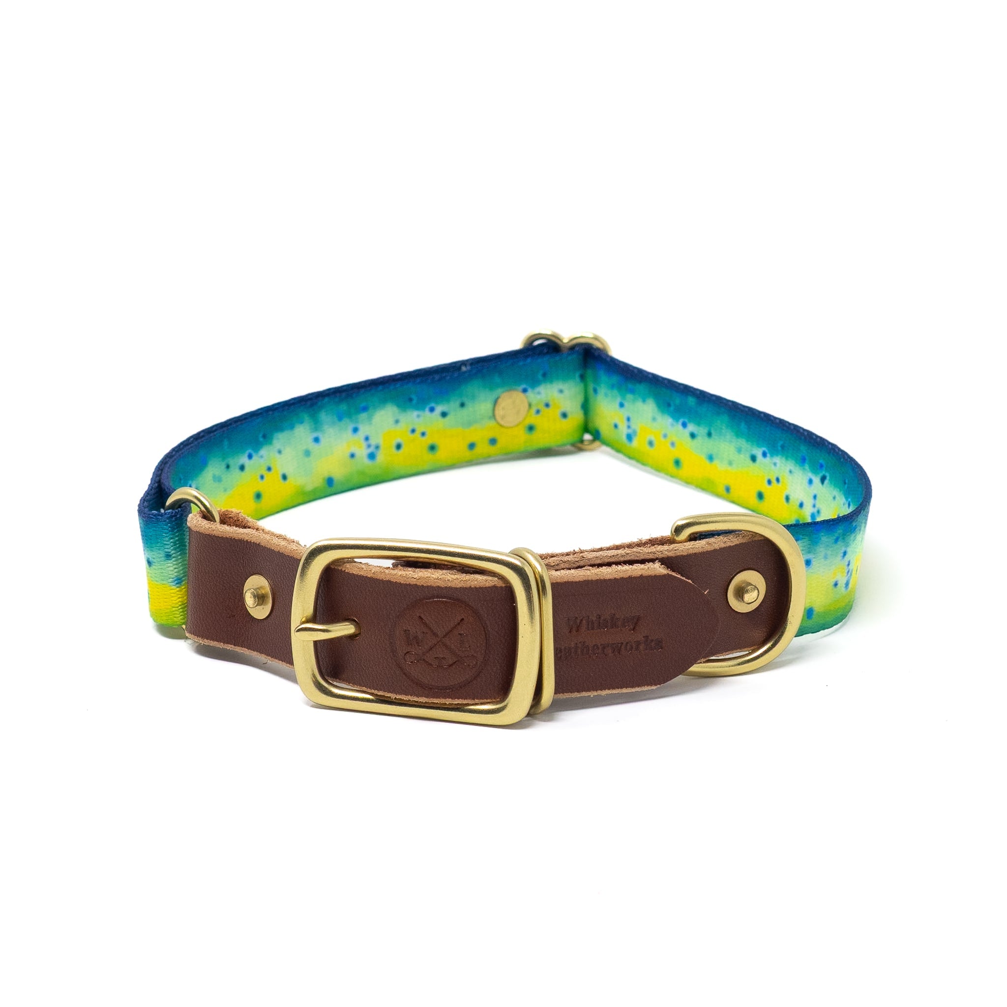Saltwater Dog Collars
