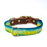 Saltwater Dog Collars