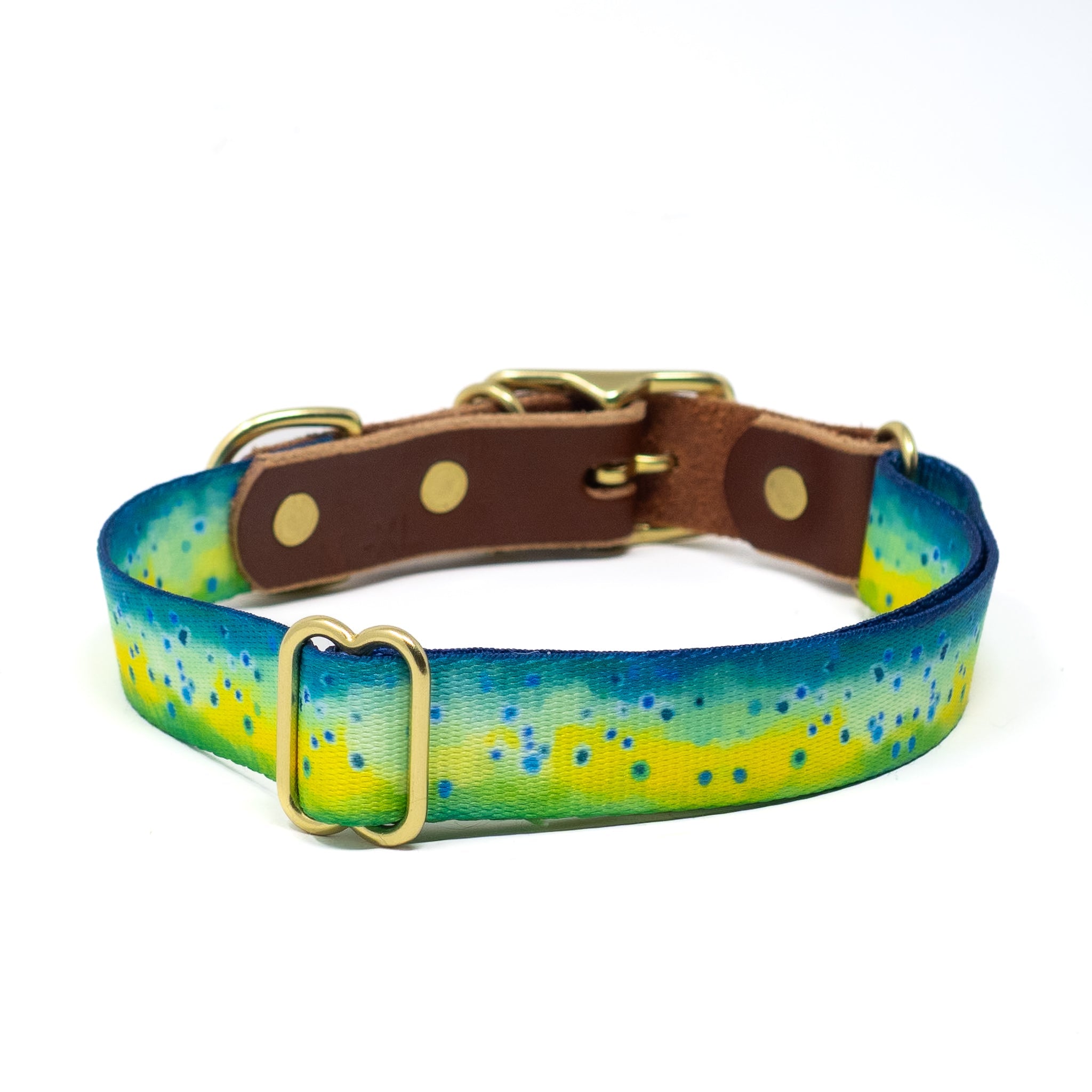 Water Dogs '25 Collars