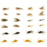 Salmonfly/Stonefly Assortment--36 Flies #43