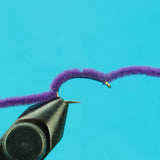 San Juan Worm