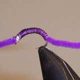 San Juan Worm - 4 Colors