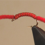 San Juan Worm - 4 Colors