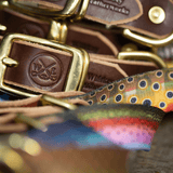 Freshwater Dog Collars