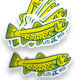 Banana Trout Slap