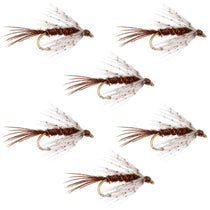 Set of six wet fly lures, brown bodies, white feather wings, gold hooks