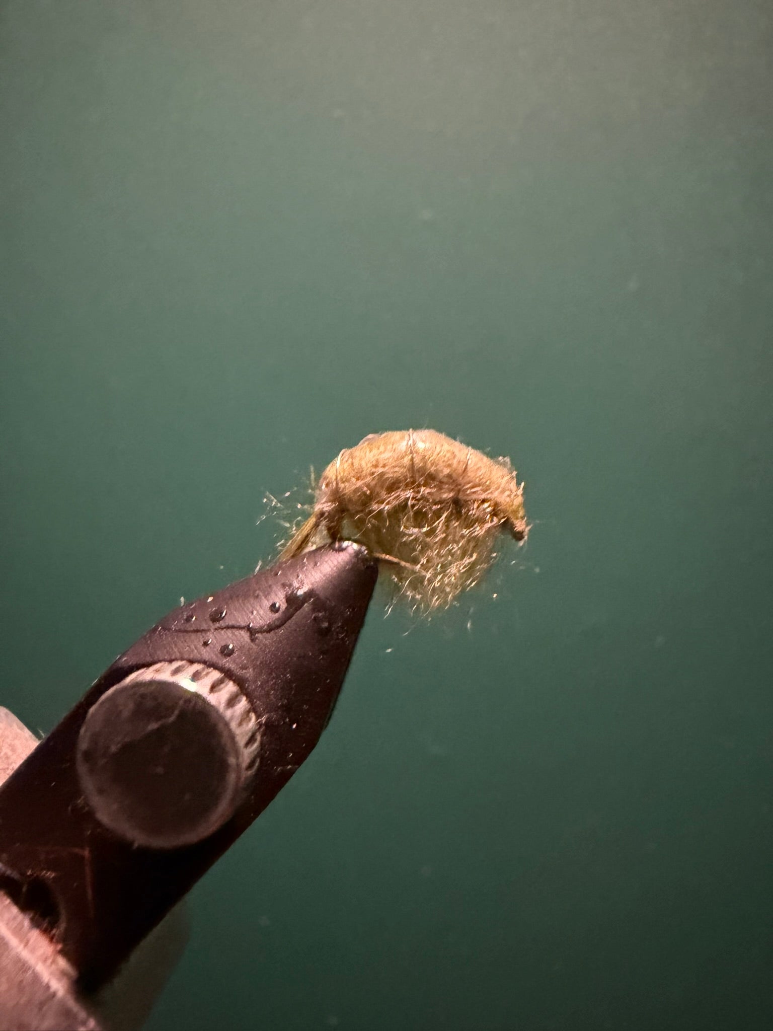 Brown sowbug figurine detail with fuzzy bristled texture and small legs