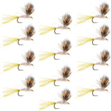 Sparkle Dun Pale Morning Dun PMD Mayfly 12 Flies Hook size 16