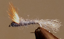 20 Must-Have Fly Patterns: The Only Flies You Really Need | Fly Fishin ...