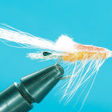 Spay Shrimp