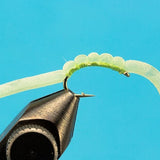 Squirmy Worm