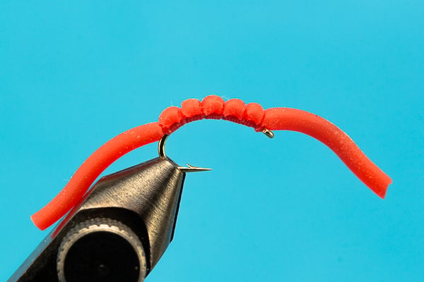 Squirmy Worm