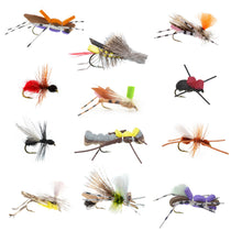 Trout fly assortment with assorted terrestrial-style insect flies in various colors