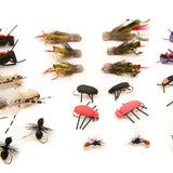 Terrestrials Assortment--24 Flies #54