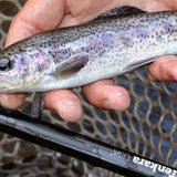 AMAGO™ 13ft6in (410cm)