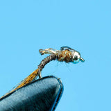 Tiny Tailwater-Beadhead