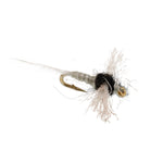 Winged fishing spinner fly with black body and tan feather wing, brass hook—size 18