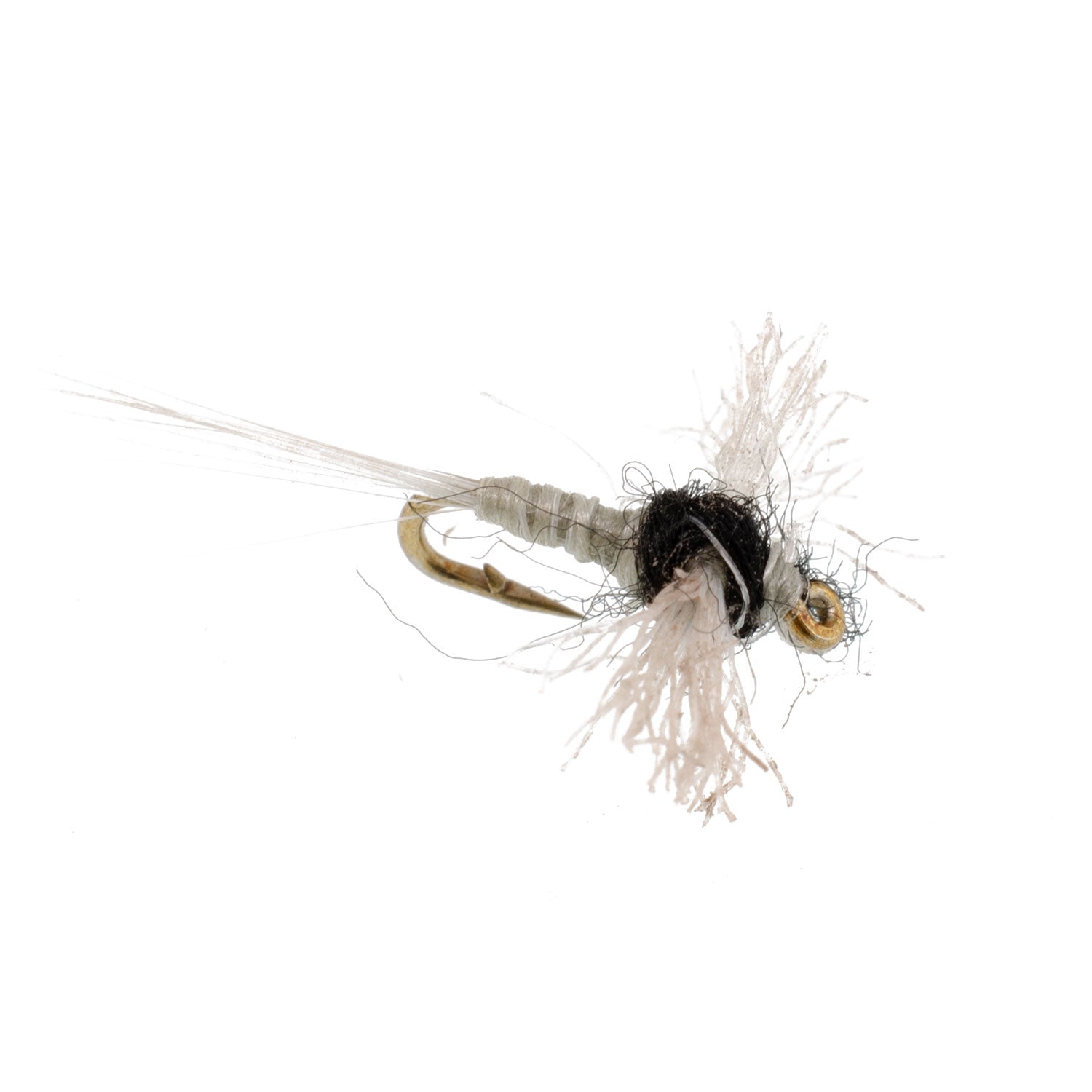 Fly hook close-up with black body, light wing fibers, gold eye