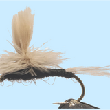 Parachute Trico