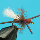 Turck's Power Ant