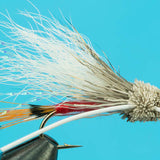 Turck's Tarantula