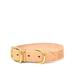 Full Leather Dog Collar