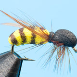 Wasp