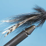 Whistling Deceiver