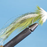 Whistling Deceiver
