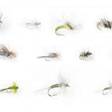 Winter Trout Dries Assortment--24 Flies #60