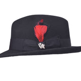 Black wool felt fedora front view with red feather tuft and small silver badge.
