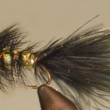 Woolly Bugger