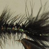 Woolly Bugger