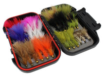 Plastic fly box with foam insert holding multi-color woolly bugger flies