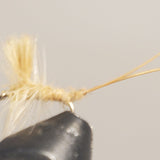 Extended Body Mayfly
