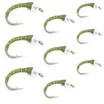 Olive zebra midge flies assortment, multiple hooks with green chenille bodies