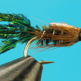 Zug Bug