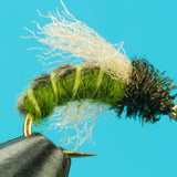 Z-Wing Caddis