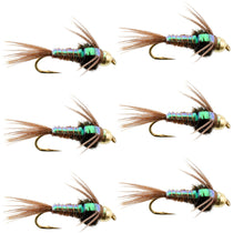 Teal bead-head pheasant tail nymph fly with brown hackle and gold head (multiple)