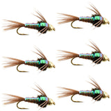 Tungsten Bead Head Flash Back Pheasant Tail Nymph 6 Flies Size 12